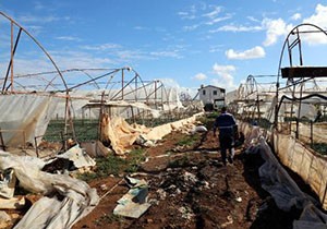 Antalya da hortum seralara büyük zarar verdi